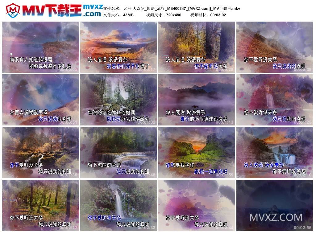 大王-大奇葩_国语_流行_ME400347